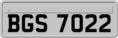 BGS7022