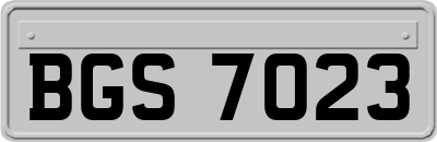 BGS7023
