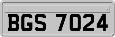 BGS7024