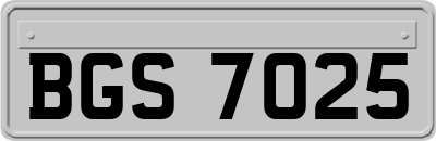 BGS7025