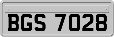 BGS7028