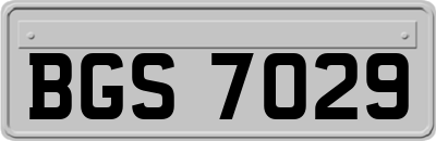 BGS7029