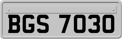 BGS7030