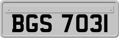 BGS7031