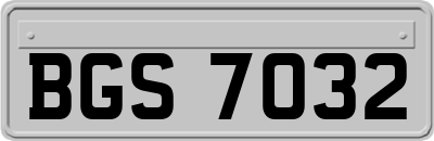 BGS7032