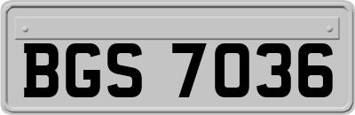 BGS7036