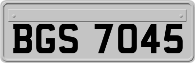 BGS7045
