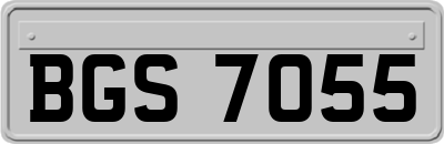 BGS7055