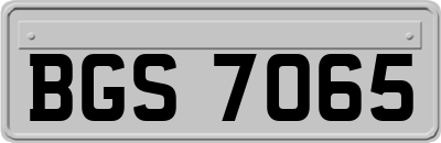 BGS7065