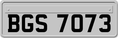 BGS7073