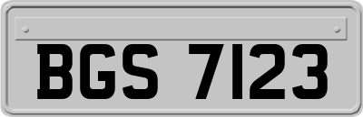 BGS7123