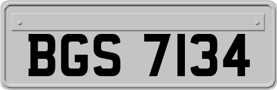 BGS7134