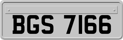 BGS7166