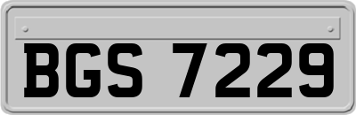 BGS7229
