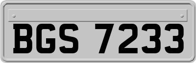 BGS7233