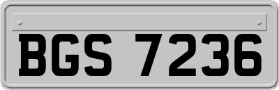 BGS7236