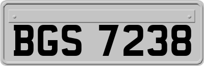 BGS7238