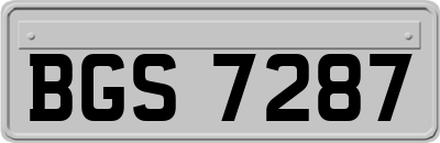 BGS7287