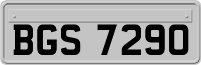 BGS7290