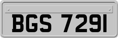 BGS7291