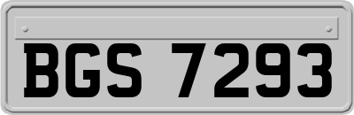 BGS7293