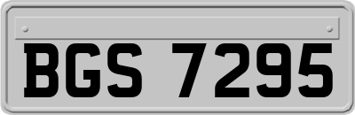 BGS7295
