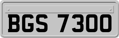 BGS7300