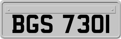 BGS7301