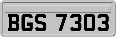 BGS7303