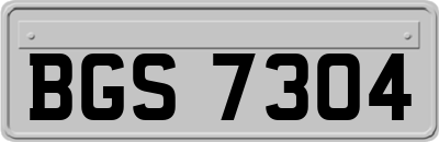 BGS7304