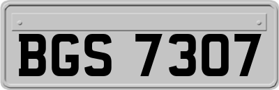 BGS7307