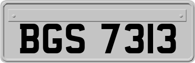 BGS7313
