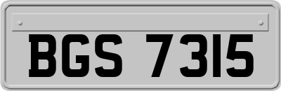 BGS7315