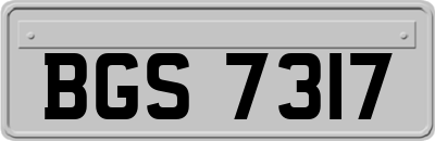 BGS7317