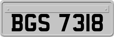 BGS7318