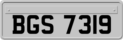 BGS7319