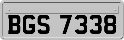 BGS7338