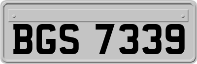 BGS7339