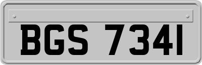 BGS7341