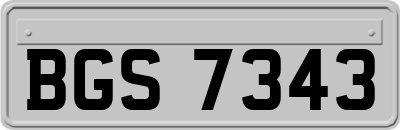 BGS7343