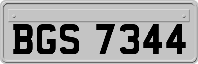 BGS7344
