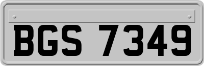 BGS7349
