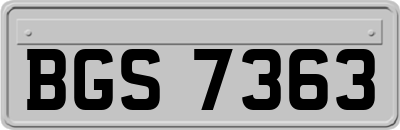BGS7363