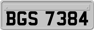 BGS7384
