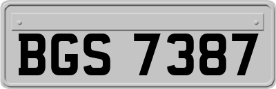 BGS7387
