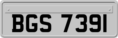 BGS7391