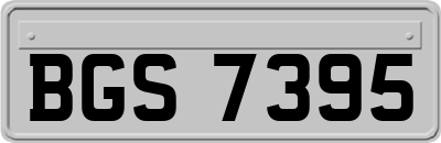 BGS7395