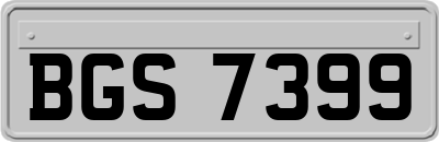 BGS7399