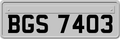 BGS7403
