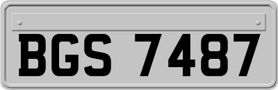 BGS7487
